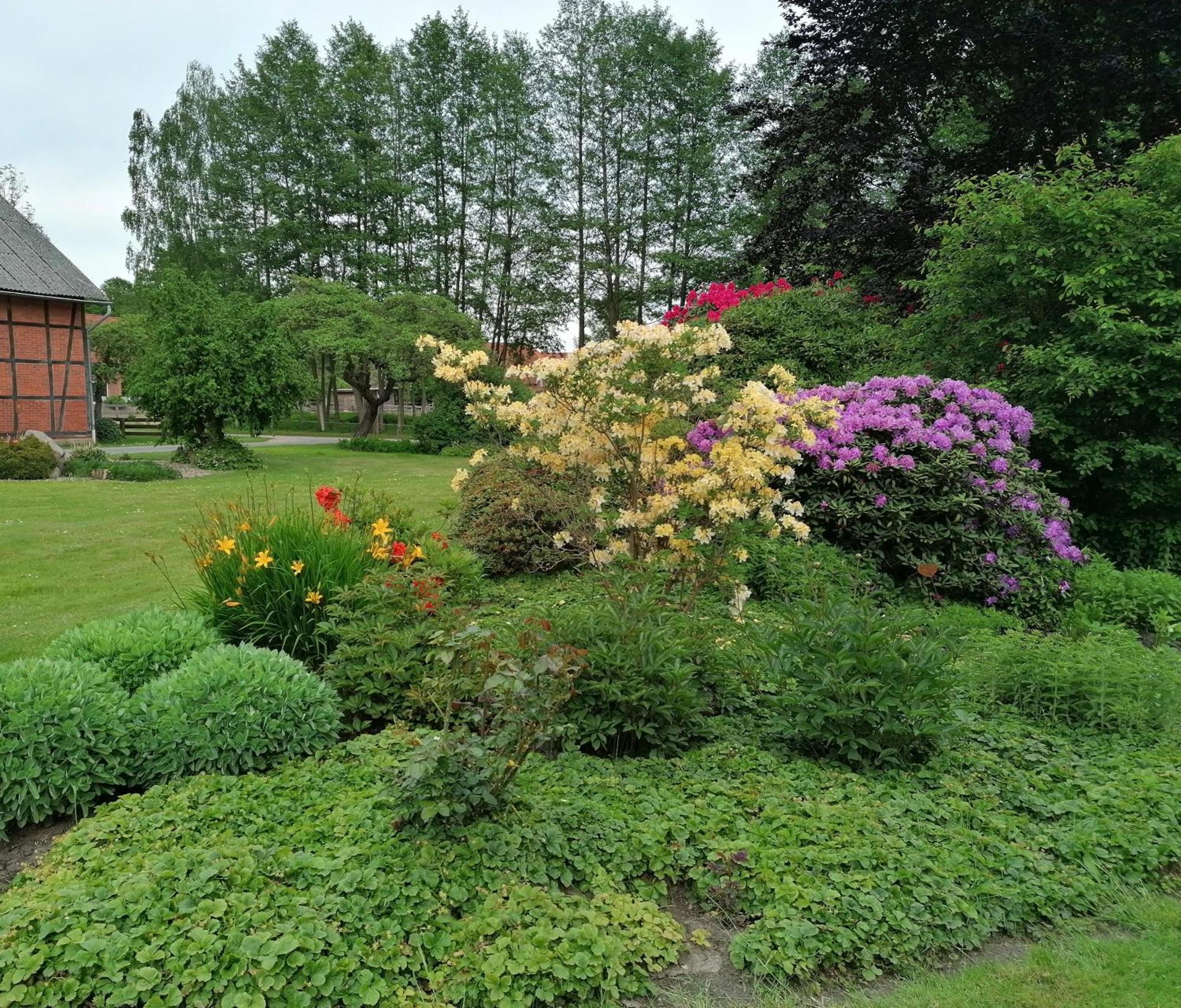 Am Teich Apartment